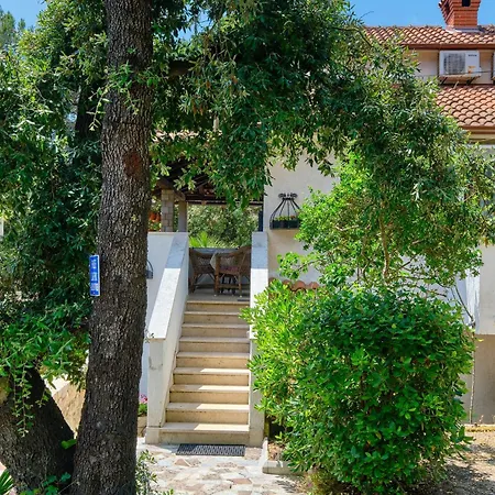 Artatore 2509a * Čunski